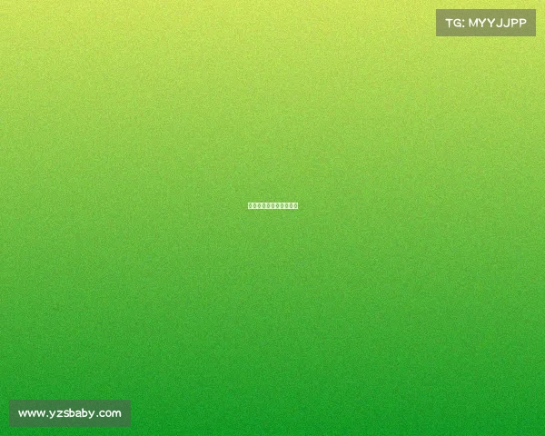 帕德博恩对汉堡比赛结果